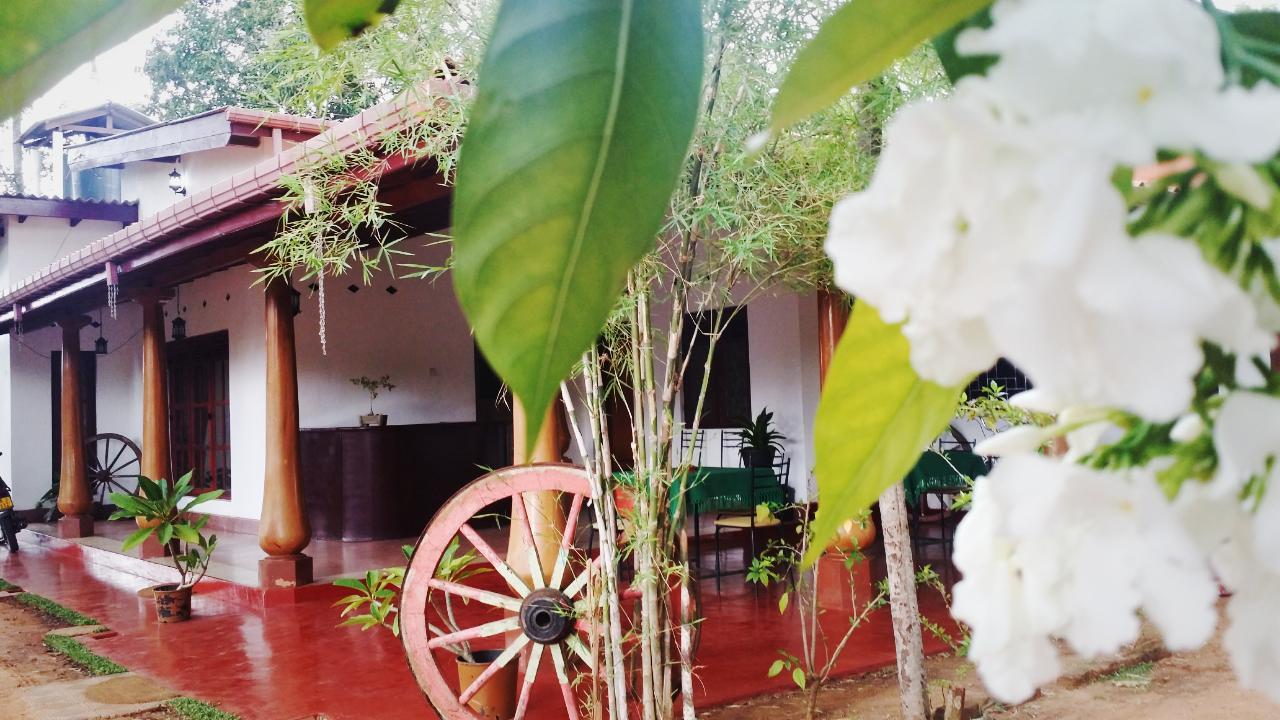 Saubagya Inn Anuradhapura Zewnętrze zdjęcie