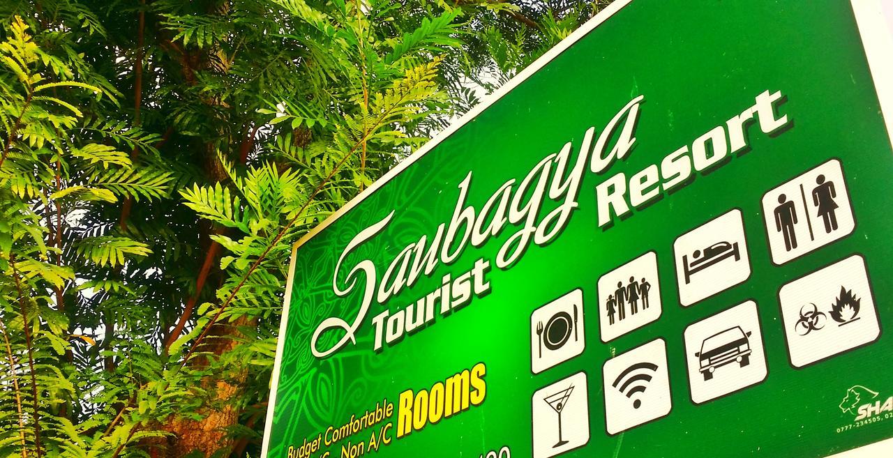 Saubagya Inn Anuradhapura Zewnętrze zdjęcie
